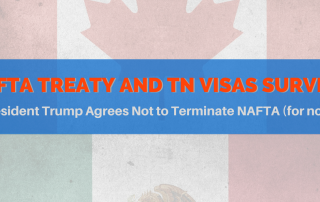 NAFTA treaty TN visa
