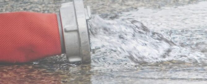 Immigrant Ban Spillover